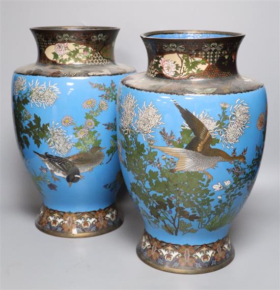 A pair of Japanese Meiji period blue ground cloisonne vases, on hardwood stands, 32cm